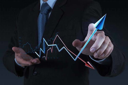 拓商之道 拼多多運(yùn)營實(shí)戰(zhàn)攻略，告別“沒流量”困境的站內(nèi)推廣秘笈