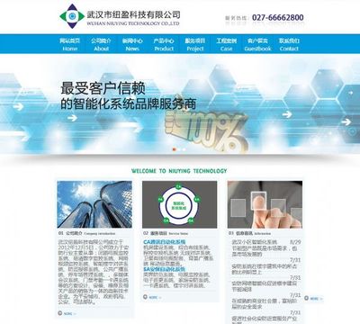 武漢設計網站價格,武漢易城設計網站年中最低價-首商網